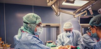 трансплантация