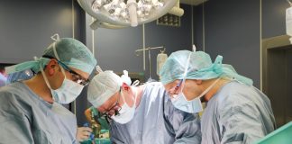 трансплантация