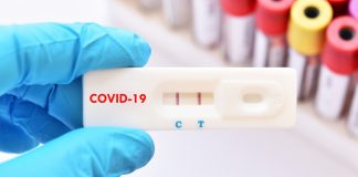 Нидерландия