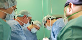 трансплантация