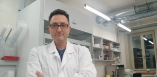 лятна вълна