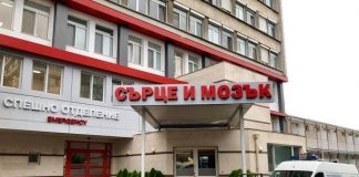 "Сърце и мозък"