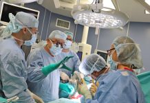 трансплантация