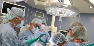 трансплантация