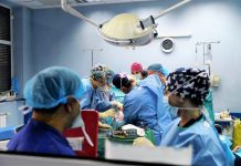 "Александровска"