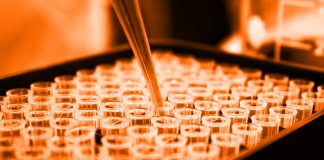 клетъчна култура