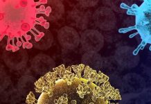 вирусна инфекция