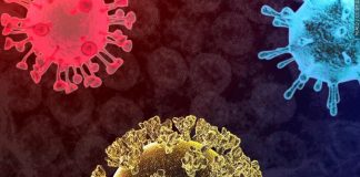 вирусна инфекция