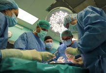 трансплантация