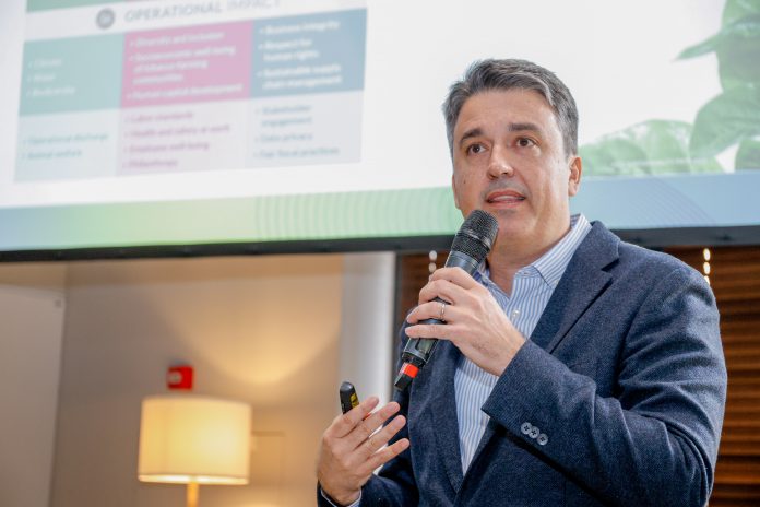 бездимни алтернативи