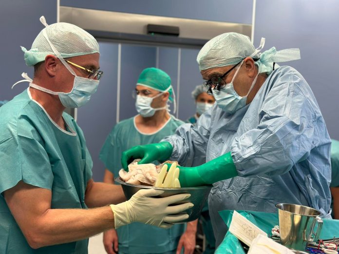 трансплантации