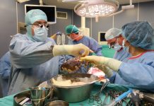 донорска ситуация