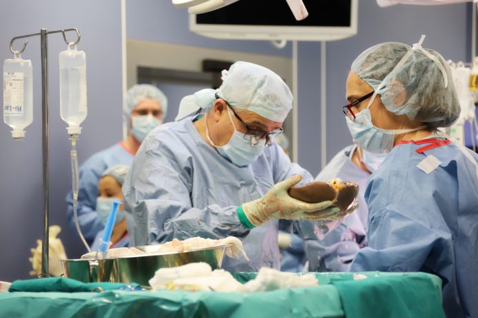 донорска ситуация донорска ситуация