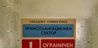 трансплантация