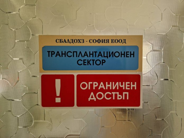 трансплантация