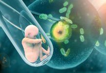 „Медицинската ДАНС“ влиза в инвитро клиниките инвитро