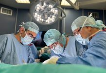 трансплантация