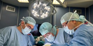 трансплантация