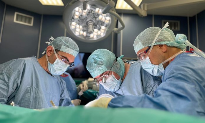 трансплантация