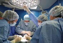 трансплантация