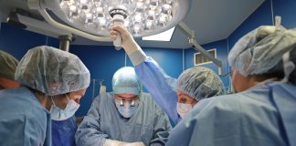 трансплантация