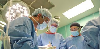 трансплантация