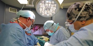 трансплантации