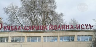 трансплантация