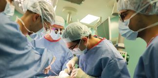 трансплантации