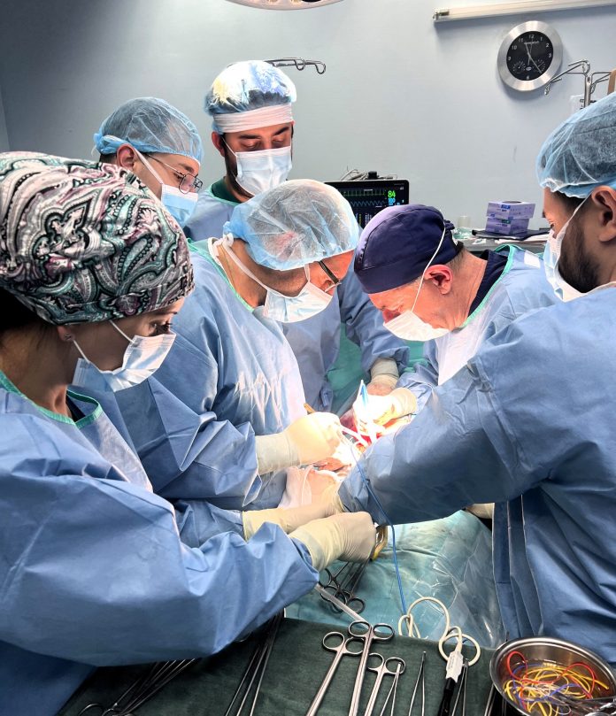 трансплантации