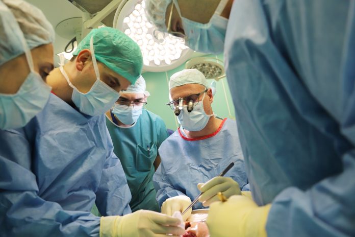 трансплантация