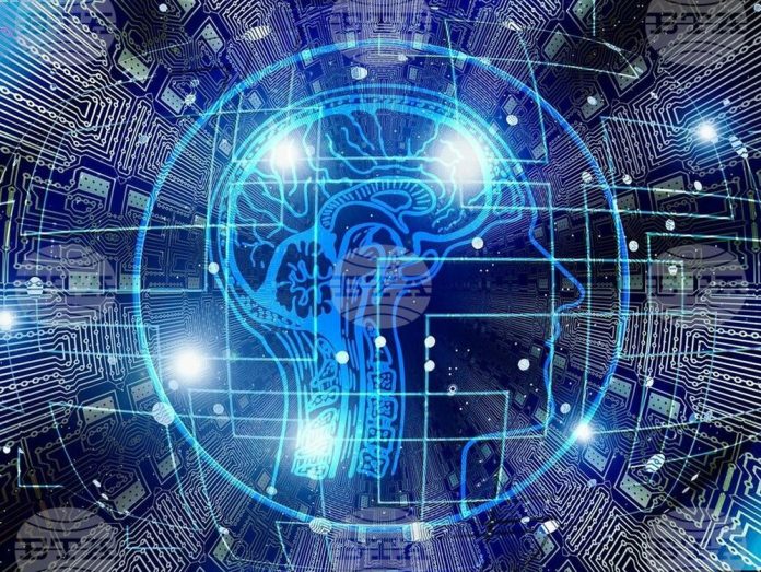 мозъка мозъка