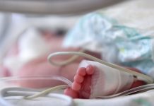 менингокок