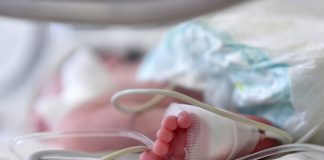 менингокок