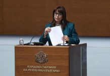 Велислава Делчева