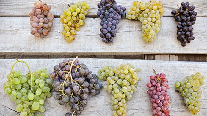 суперхрана