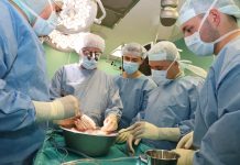 трансплантации