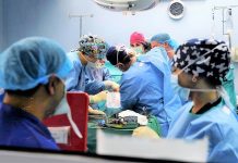 трансплантации