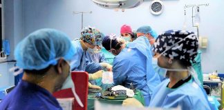 трансплантации