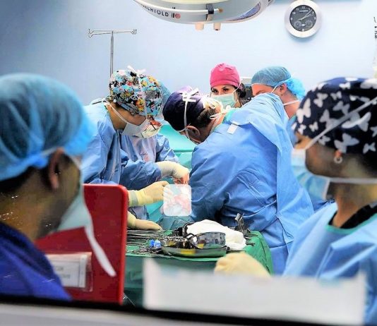 трансплантации