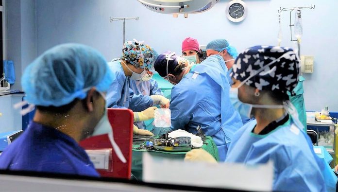 трансплантации