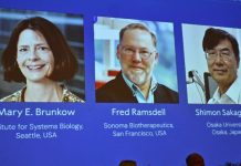 Нобел за медицина за трима учени, открили как тялото спира да воюва със себе си медицина