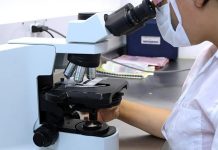 Създадоха яйцеклетка от кожни клетки, която може да се оплоди яйцеклетка