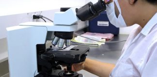 яйцеклетка