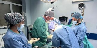 трансплантации