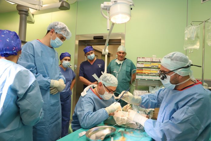 трансплантации