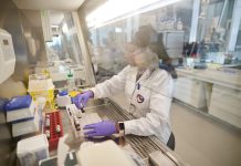 бездимните алтернативи