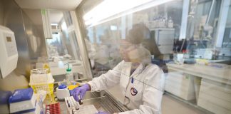 бездимните алтернативи