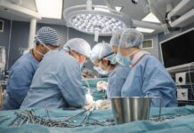 трансплантация