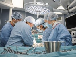 трансплантация